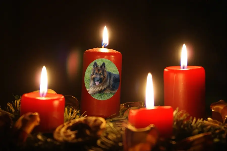 Condolence image of Dzień Dobry❤️❤️❤️mój Ukochany❤️❤️❤️❤️❤️❤️❤️Misieńku❤️❤️❤️