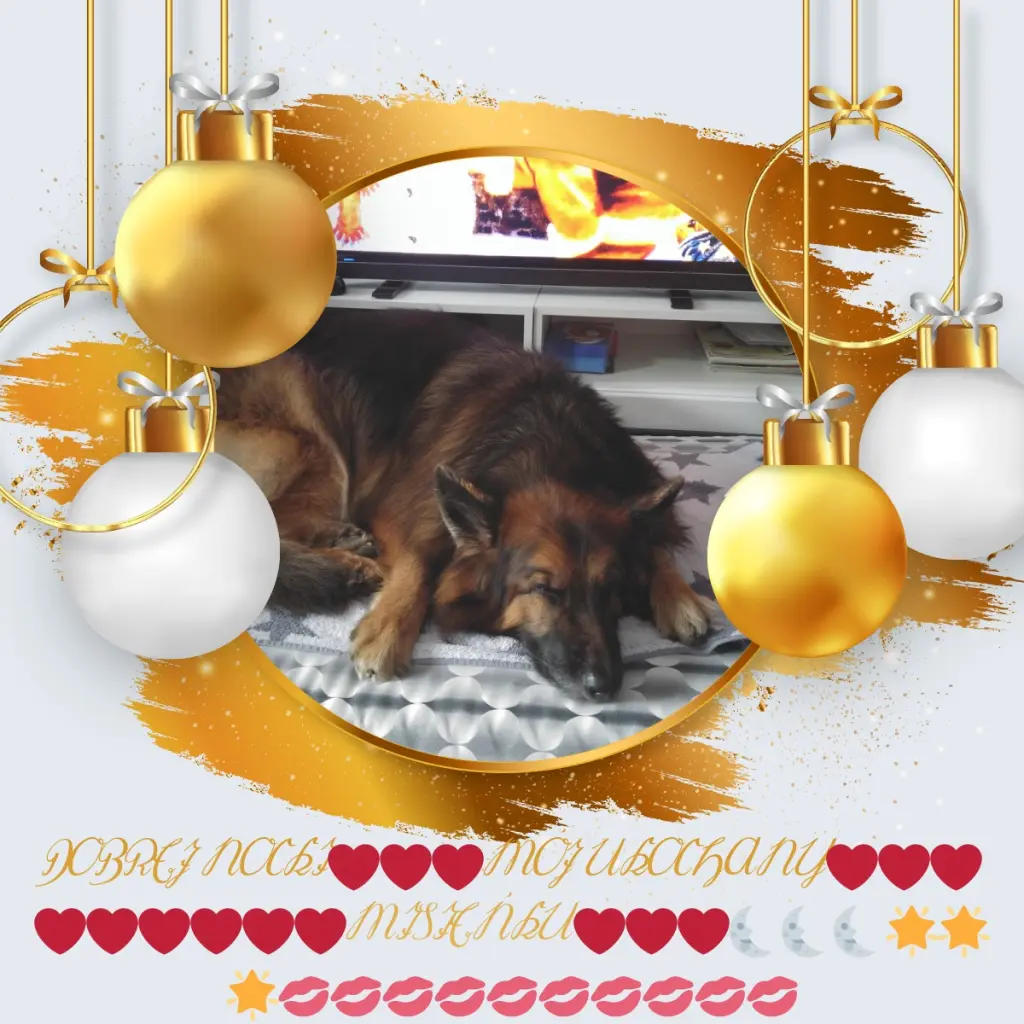 Condolence image of Dobrej Nocki❤️❤️❤️❤️❤️❤️mój Ukochany❤️❤️❤️❤️❤️❤️Misieńku❤️❤️❤️