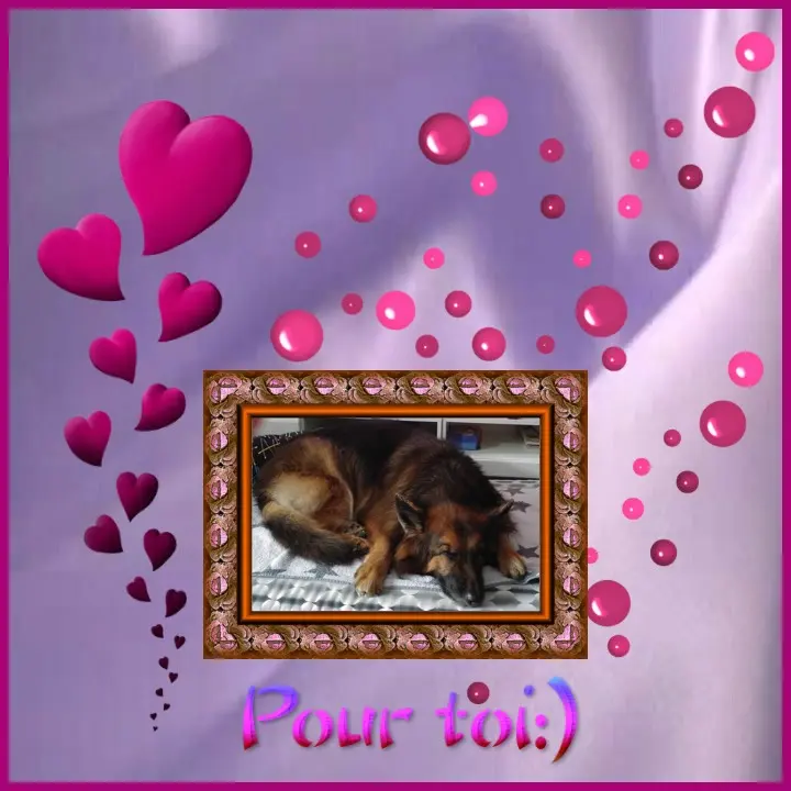 Condolence image of Dobrej Nocki❤️❤️❤️❤️❤️❤️mój Ukochany❤️❤️❤️❤️❤️❤️Misieńku❤️❤️❤️
