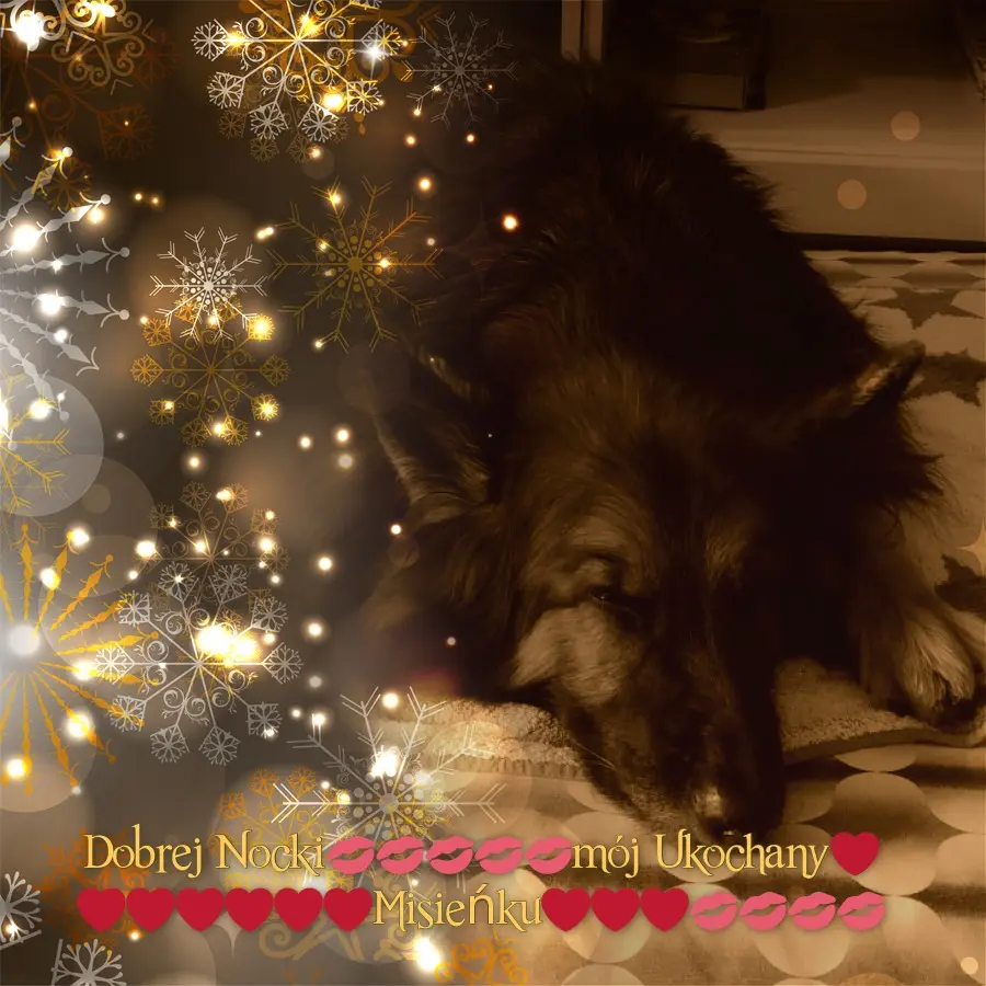 Condolence image of Dobrej Nocki❤️❤️❤️❤️❤️❤️mój Ukochany❤️❤️❤️❤️❤️❤️Misieńku❤️❤️❤️