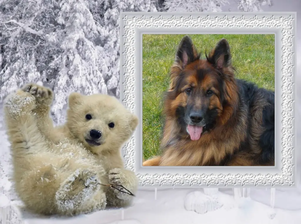 Condolence image of Dzień Dobry❤️❤️❤️mój Ukochany❤️❤️❤️❤️❤️❤️❤️Misieńku❤️❤️❤️