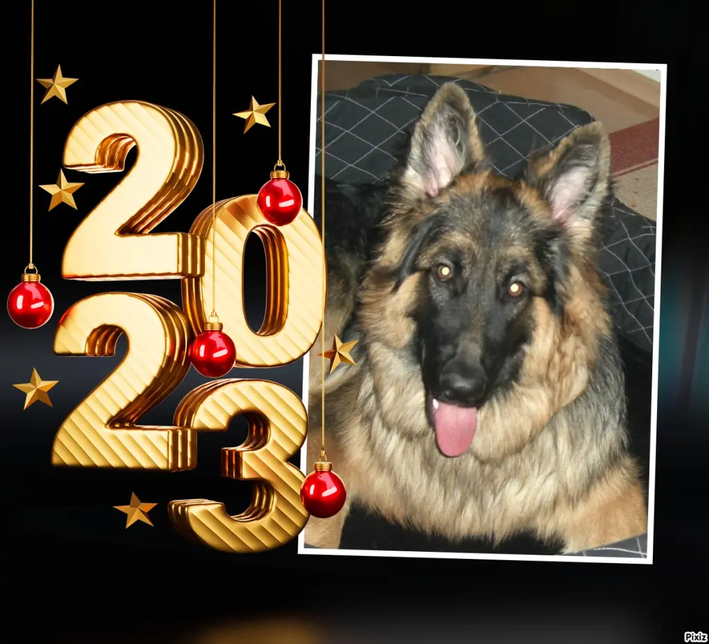 Condolence image of Tanja mit Timmy im Herzen