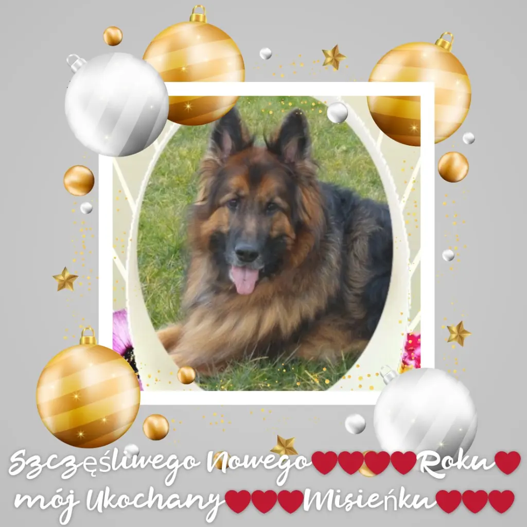 Condolence image of Dzień Dobry❤️❤️❤️mój Ukochany❤️❤️❤️❤️❤️❤️❤️Misieńku❤️❤️❤️