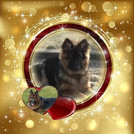 Condolence image of Dzień Dobry❤️❤️❤️mój Ukochany❤️❤️❤️❤️❤️❤️❤️Misieńku❤️❤️❤️