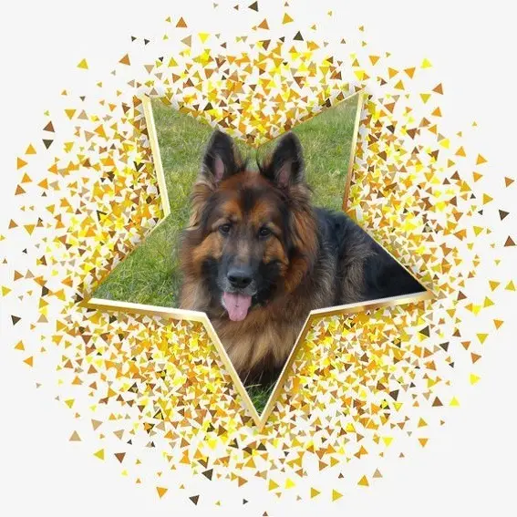 Condolence image of Dzień Dobry❤️❤️❤️mój Ukochany❤️❤️❤️❤️❤️❤️❤️Misieńku❤️❤️❤️