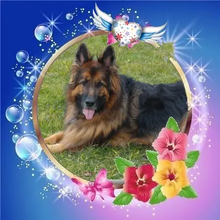 Condolence image of Dobry Wieczór❤️❤️❤️Mińku❤️❤️❤️