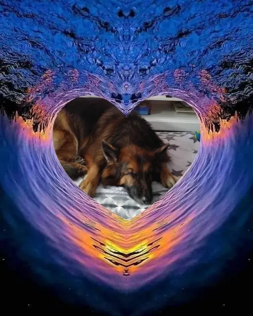 Condolence image of Dobrej Nocki❤️❤️❤️❤️❤️❤️mój Ukochany❤️❤️❤️❤️❤️❤️Misieńku❤️❤️❤️