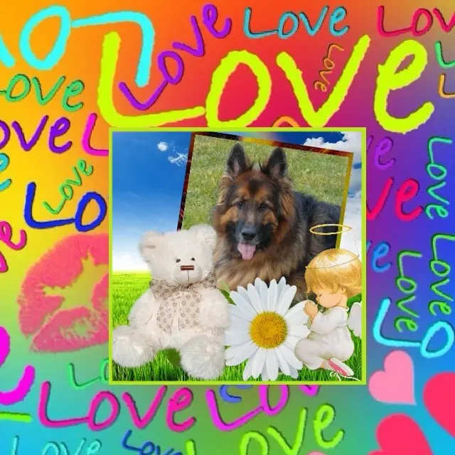 Condolence image of Dzień Dobry❤️❤️❤️mój Ukochany❤️❤️❤️❤️❤️❤️❤️Misieńku❤️❤️❤️
