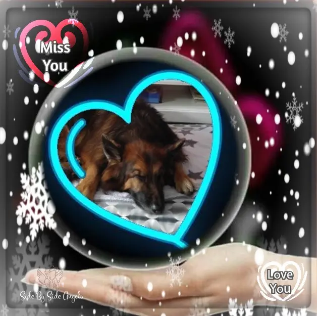 Condolence image of Dobrej Nocki❤️❤️❤️❤️❤️❤️mój Ukochany❤️❤️❤️❤️❤️❤️Misieńku❤️❤️❤️