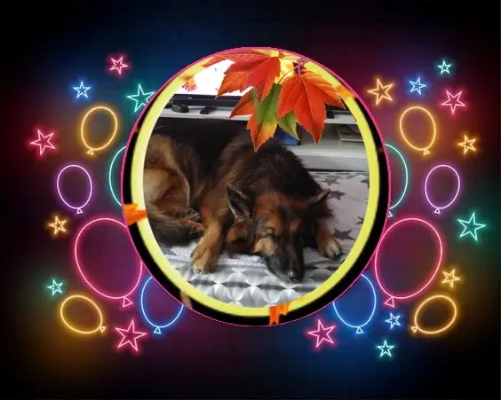 Condolence image of Dobrej Nocki❤️❤️❤️❤️❤️❤️mój Ukochany❤️❤️❤️❤️❤️❤️Misieńku❤️❤️❤️