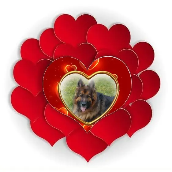Condolence image of Dzień Dobry❤️❤️❤️mój Ukochany❤️❤️❤️❤️❤️❤️❤️Misieńku❤️❤️❤️