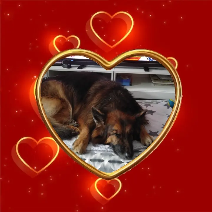 Condolence image of Dobrej Nocki❤️❤️❤️❤️❤️❤️mój Ukochany❤️❤️❤️❤️❤️❤️Misieńku❤️❤️❤️