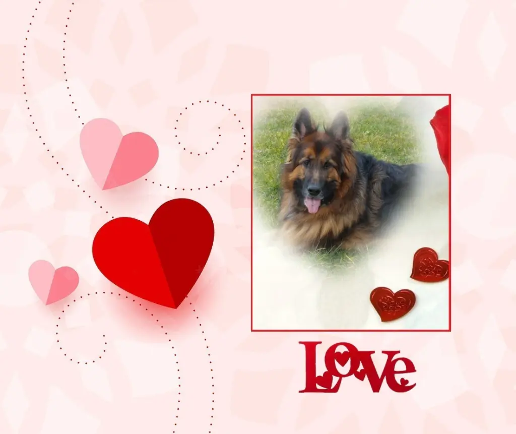 Condolence image of Dzień Dobry❤️❤️❤️mój Ukochany❤️❤️❤️❤️❤️❤️❤️Misieńku❤️❤️❤️