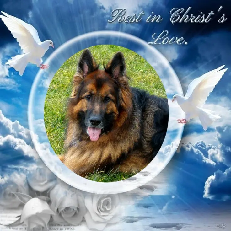 Condolence image of Dzień Dobry❤️❤️❤️mój Ukochany❤️❤️❤️❤️❤️❤️❤️Misieńku❤️❤️❤️