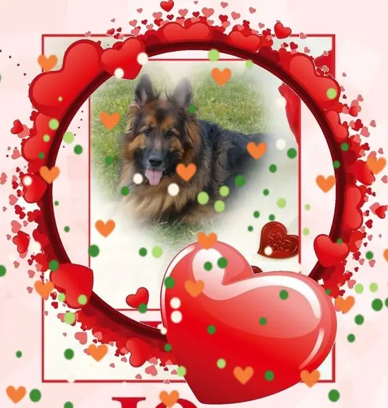 Condolence image of Dzień Dobry❤️❤️❤️mój Ukochany❤️❤️❤️❤️❤️❤️❤️Misieńku❤️❤️❤️