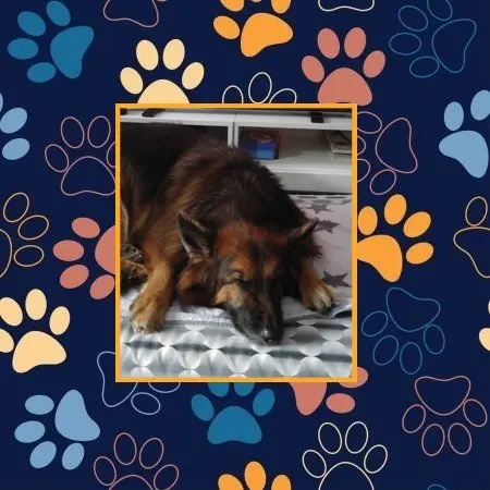 Condolence image of Dobrej Nocki❤️❤️❤️❤️❤️❤️mój Ukochany❤️❤️❤️❤️❤️❤️Misieńku❤️❤️❤️