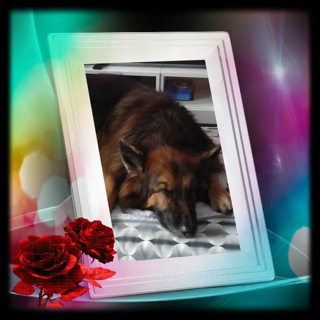 Condolence image of Dobrej Nocki❤️❤️❤️❤️❤️❤️mój Ukochany❤️❤️❤️❤️❤️❤️Misieńku❤️❤️❤️