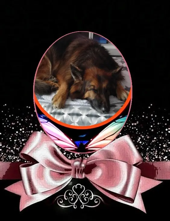 Condolence image of Dobrej Nocki❤️❤️❤️❤️❤️❤️mój Ukochany❤️❤️❤️❤️❤️❤️Misieńku❤️❤️❤️