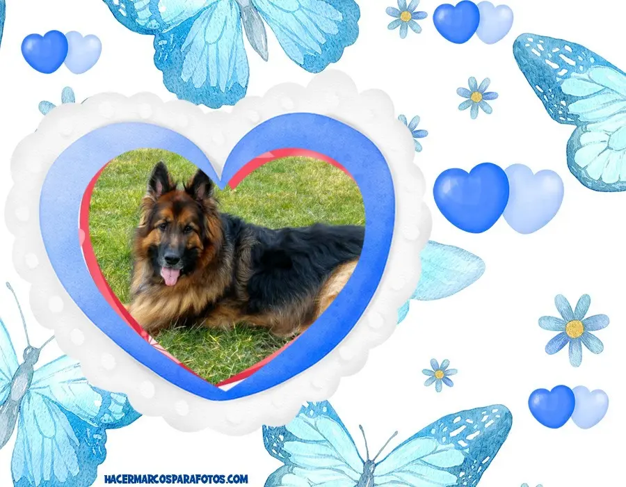 Condolence image of Dzień Dobry❤️❤️❤️mój Ukochany❤️❤️❤️❤️❤️❤️❤️Misieńku❤️❤️❤️