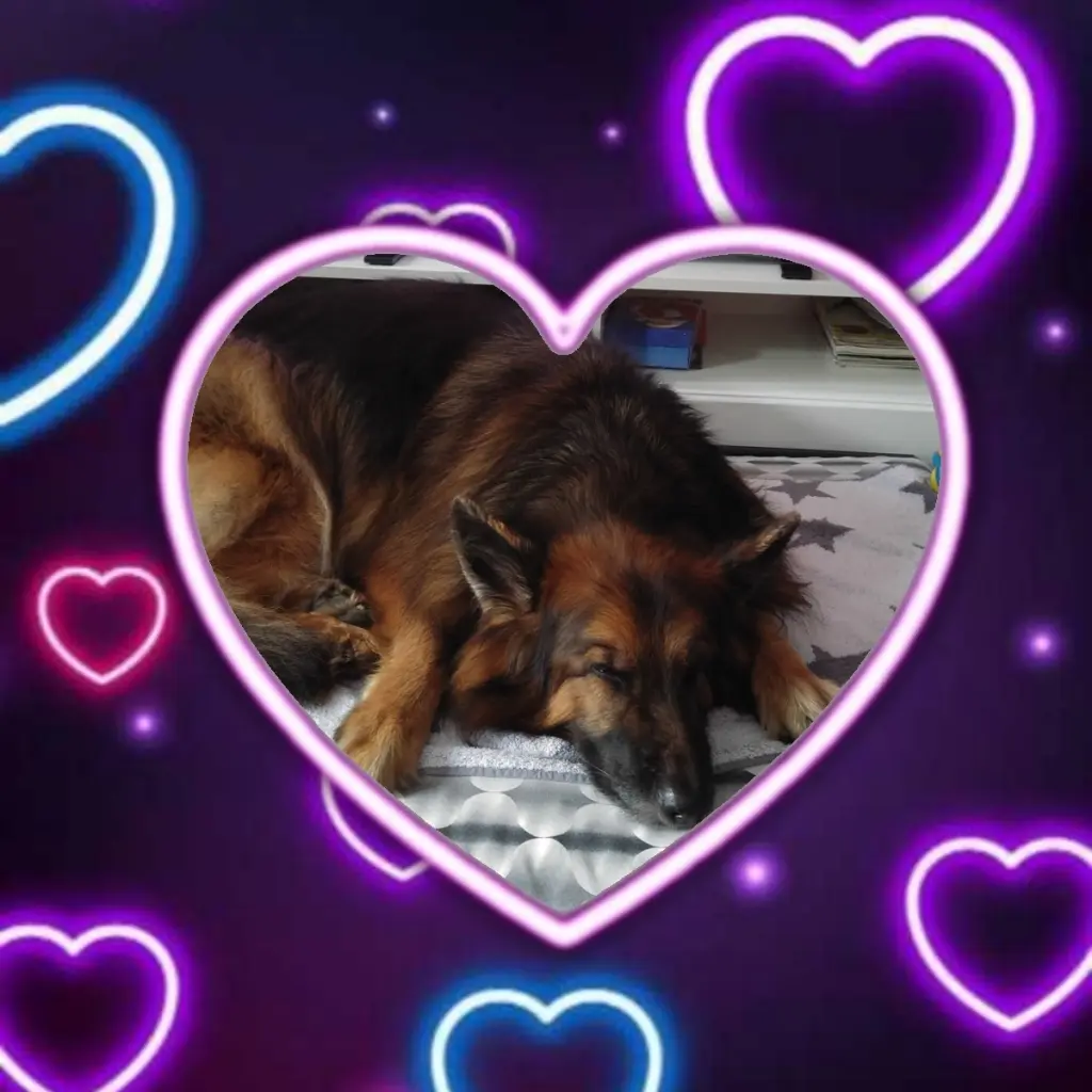 Condolence image of Dobrej Nocki❤️❤️❤️❤️❤️❤️mój Ukochany❤️❤️❤️❤️❤️❤️Misieńku❤️❤️❤️