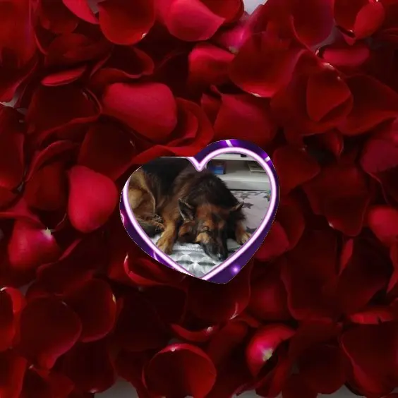 Condolence image of Dobrej Nocki❤️❤️❤️❤️❤️❤️mój Ukochany❤️❤️❤️❤️❤️❤️Misieńku❤️❤️❤️