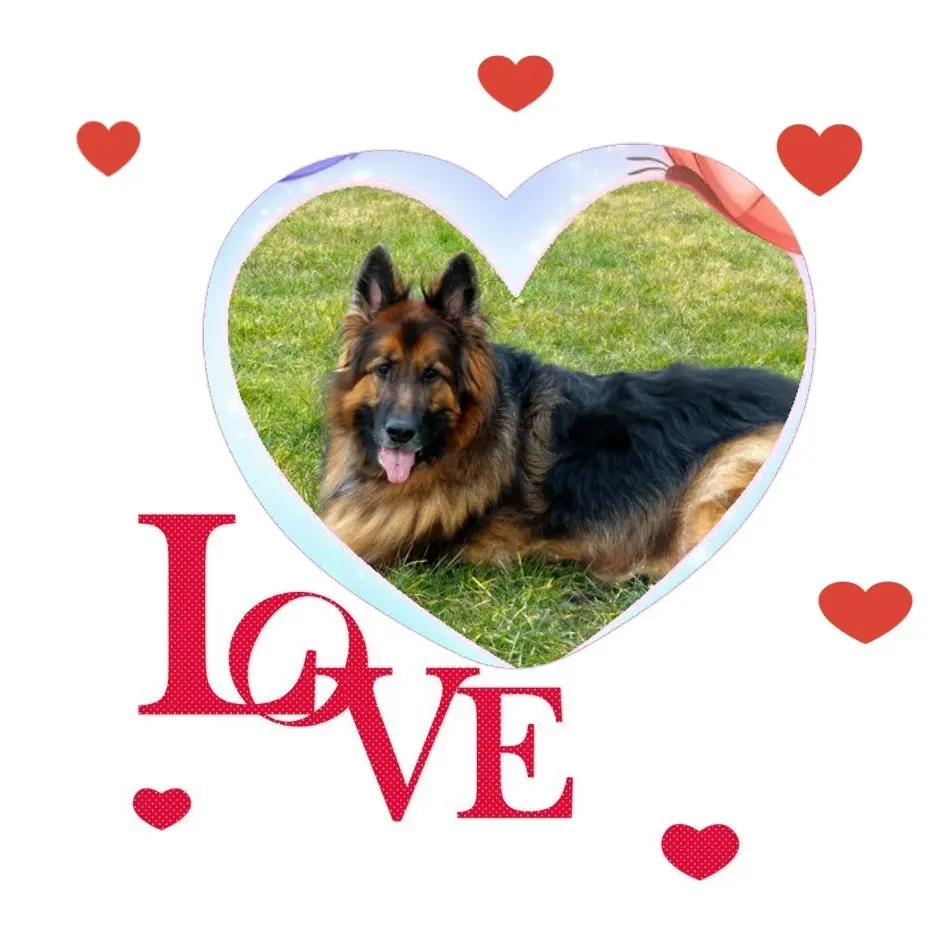 Condolence image of Dzień Dobry❤️❤️❤️mój Ukochany❤️❤️❤️❤️❤️❤️❤️Misieńku❤️❤️❤️