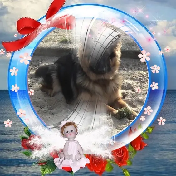 Condolence image of Dzień Dobry❤️❤️❤️mój Ukochany❤️❤️❤️❤️❤️❤️❤️Misieńku❤️❤️❤️