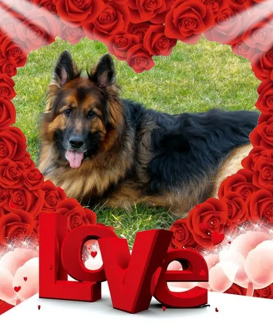 Condolence image of Dzień Dobry❤️❤️❤️mój Ukochany❤️❤️❤️❤️❤️❤️❤️Misieńku❤️❤️❤️
