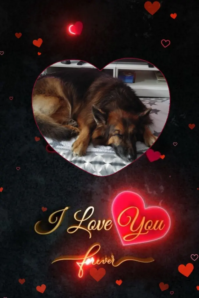 Condolence image of Dobrej Nocki❤️❤️❤️❤️❤️❤️mój Ukochany❤️❤️❤️❤️❤️❤️Misieńku❤️❤️❤️