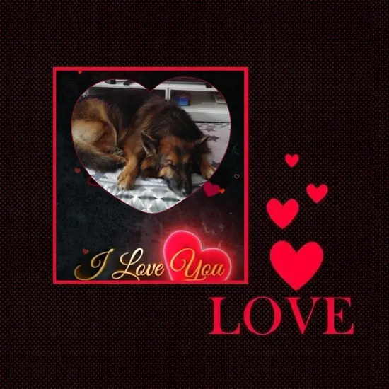 Condolence image of Dobrej Nocki❤️❤️❤️❤️❤️❤️mój Ukochany❤️❤️❤️❤️❤️❤️Misieńku❤️❤️❤️