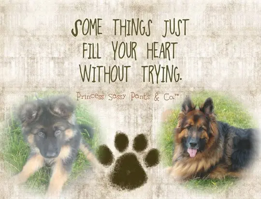Condolence image of Dzień Dobry❤️❤️❤️mój Ukochany❤️❤️❤️❤️❤️❤️❤️Misieńku❤️❤️❤️