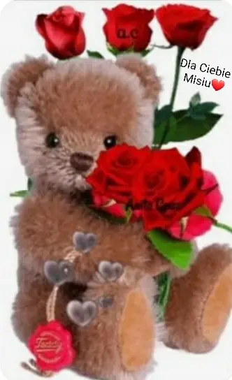 Condolence image of ❤Dla Ciebie Misiu❤