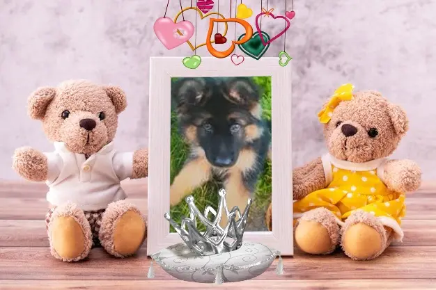 Condolence image of Dzień Dobry❤️❤️❤️mój Ukochany❤️❤️❤️❤️❤️❤️❤️Misieńku❤️❤️❤️