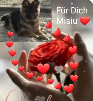 Condolence image of ❤Dla Misia❤