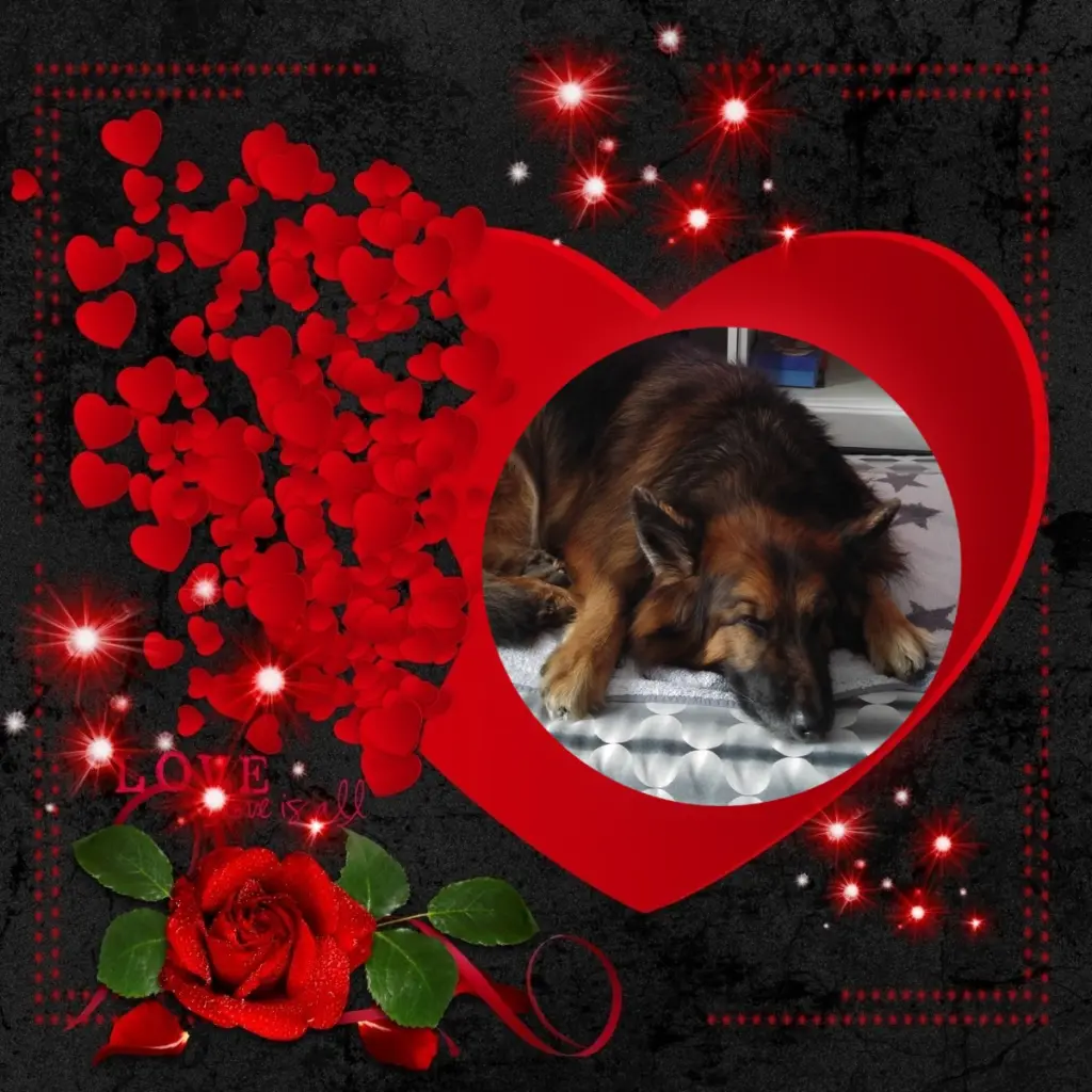 Condolence image of Dobrej Nocki❤️❤️❤️❤️❤️❤️mój Ukochany❤️❤️❤️❤️❤️❤️Misieńku❤️❤️❤️