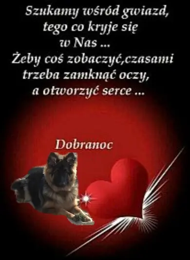 Condolence image of ⭐Dobranoc Misiu ❤⭐