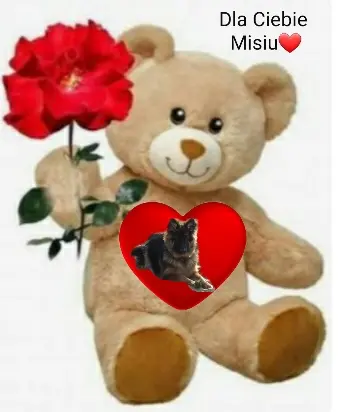 Condolence image of Dla Ciebie Misiuniu❤ 