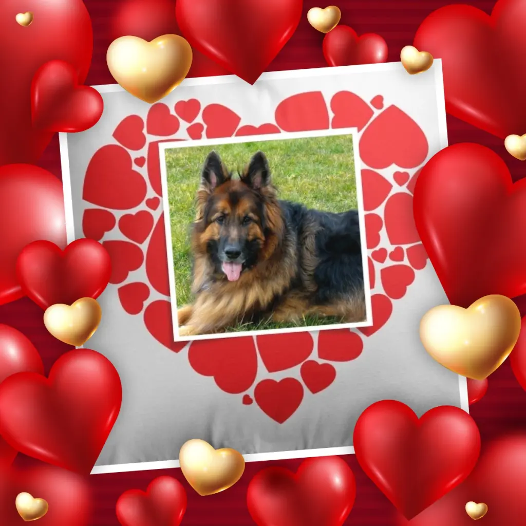 Condolence image of Dzień Dobry❤️❤️❤️mój Ukochany❤️❤️❤️❤️❤️❤️❤️Misieńku❤️❤️❤️