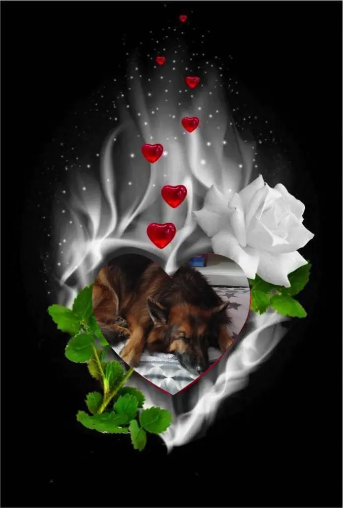 Condolence image of Dobrej Nocki❤️❤️❤️❤️❤️❤️mój Ukochany❤️❤️❤️❤️❤️❤️Misieńku❤️❤️❤️