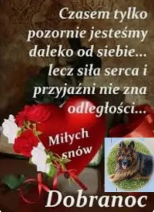 Condolence image of ⭐Dobranoc Misiuniu ❤⭐