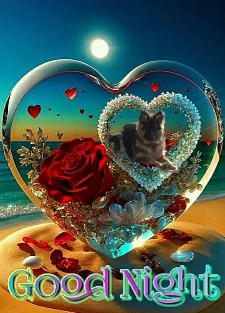 Condolence image of ⭐Dobranoc Misiu❤ ⭐