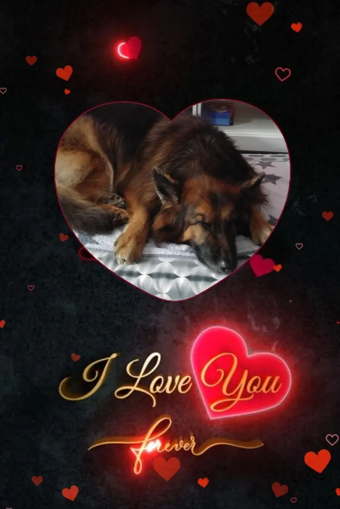 Condolence image of Dobrej Nocki❤️❤️❤️❤️❤️❤️mój Ukochany❤️❤️❤️❤️❤️❤️Misieńku❤️❤️❤️