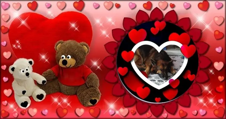 Condolence image of Dobrej Nocki❤️❤️❤️❤️❤️❤️mój Ukochany❤️❤️❤️❤️❤️❤️Misieńku❤️❤️❤️