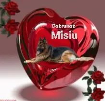 Condolence image of ⭐Dobranoc Misiu❤ ⭐