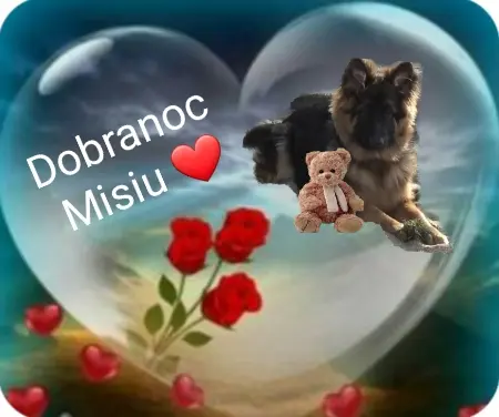 Condolence image of ⭐Dobranoc Misiu❤⭐
