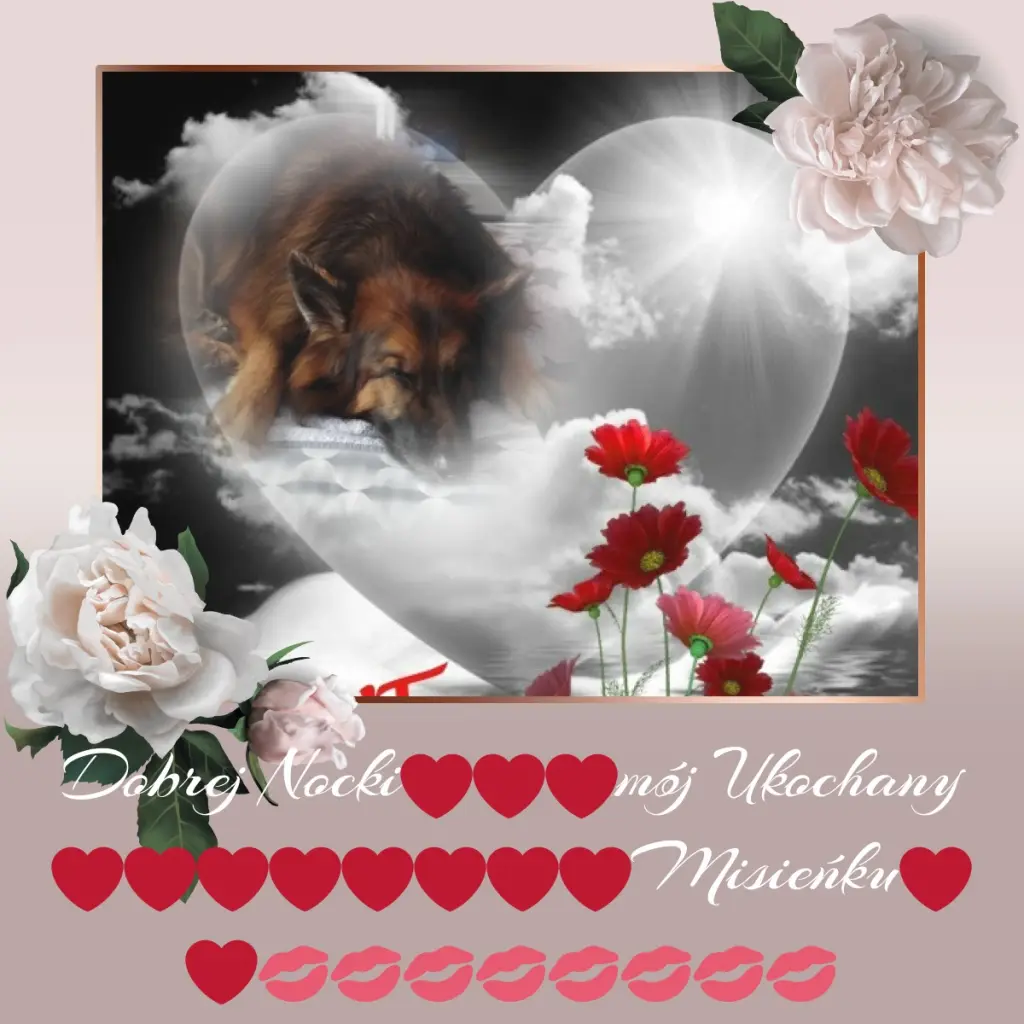 Condolence image of Dobrej Nocki❤️❤️❤️❤️❤️❤️mój Ukochany❤️❤️❤️❤️❤️❤️Misieńku❤️❤️❤️