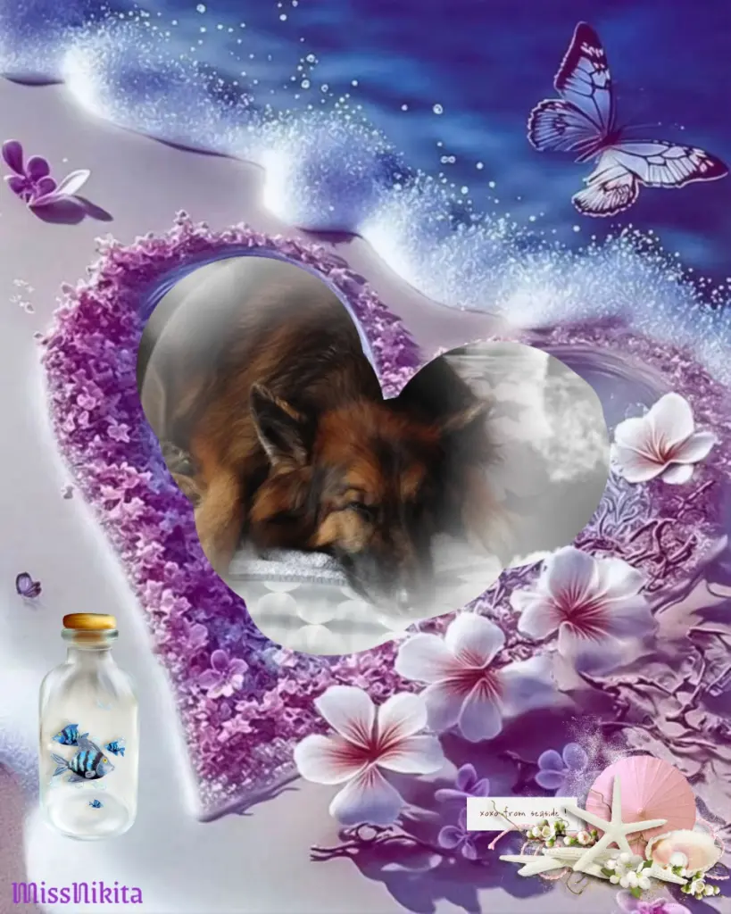 Condolence image of Dobrej Nocki❤️❤️❤️❤️❤️❤️mój Ukochany❤️❤️❤️❤️❤️❤️Misieńku❤️❤️❤️