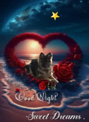 Condolence image of ⭐Dobranoc Misiu❤⭐