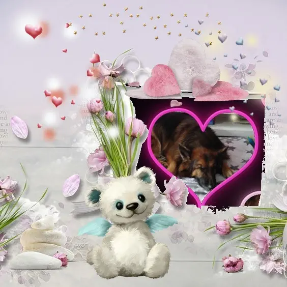Condolence image of Dobrej Nocki❤️❤️❤️❤️❤️❤️mój Ukochany❤️❤️❤️❤️❤️❤️Misieńku❤️❤️❤️