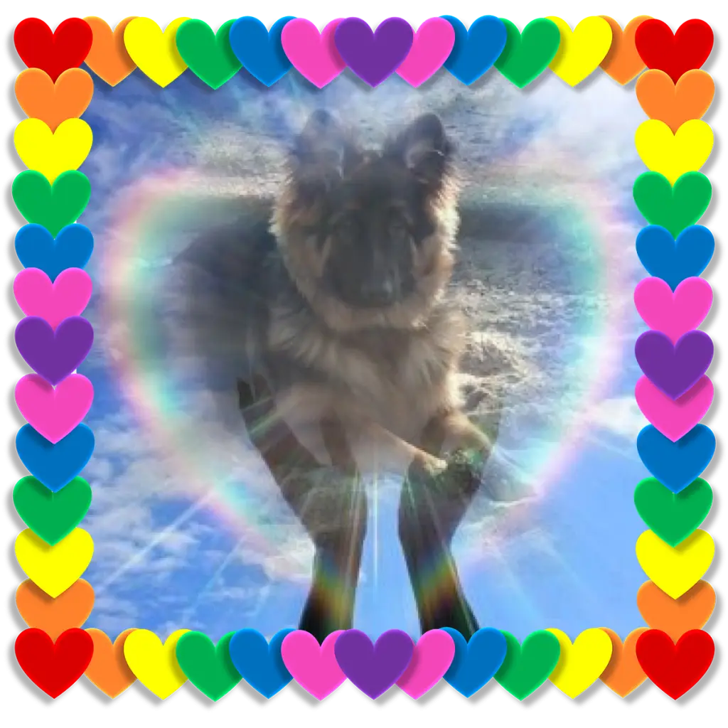 Condolence image of Dzień Dobry❤️❤️❤️mój Ukochany❤️❤️❤️❤️❤️❤️❤️Misieńku❤️❤️❤️